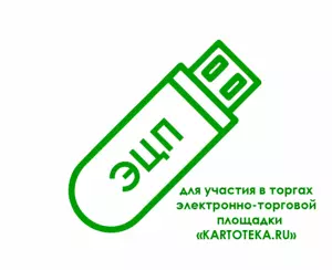 картинка Электронная подпись для участия в торгах электронно-торговой площадки «KARTOTEKA.RU» от магазина ККМ.ЦЕНТР